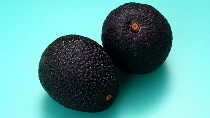 fruit