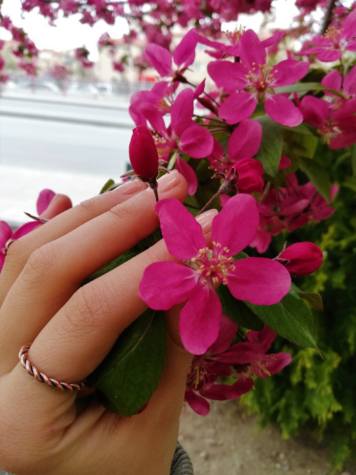 #spring