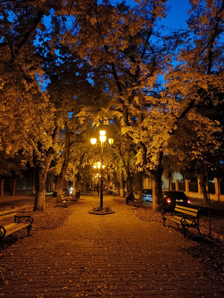 Evening walk