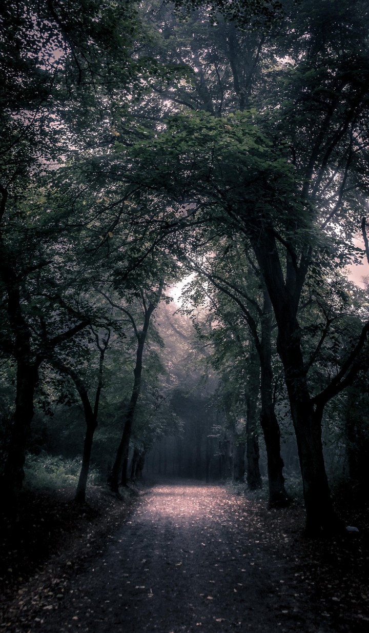 Alley