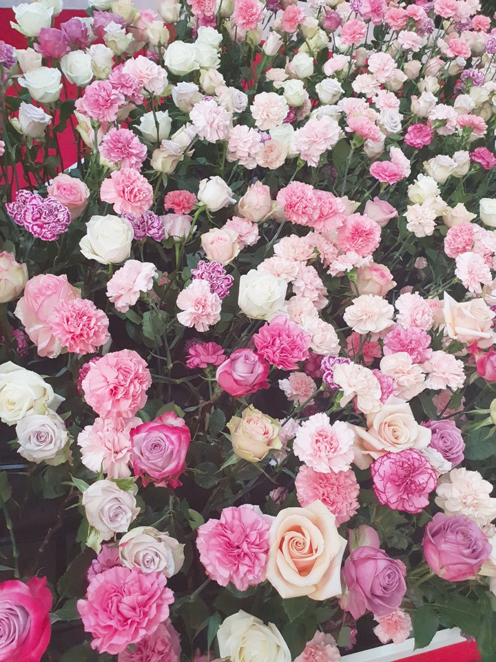 LOVELY