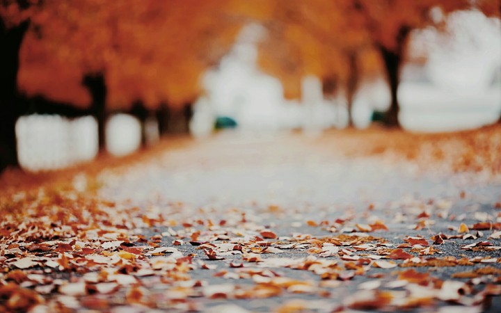 road