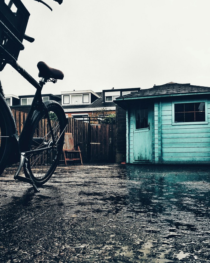 rainy day in the backyard