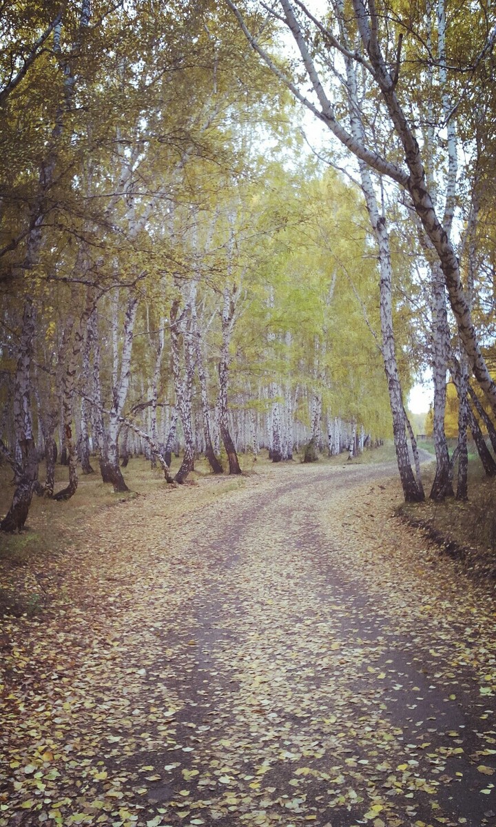 осень в парке