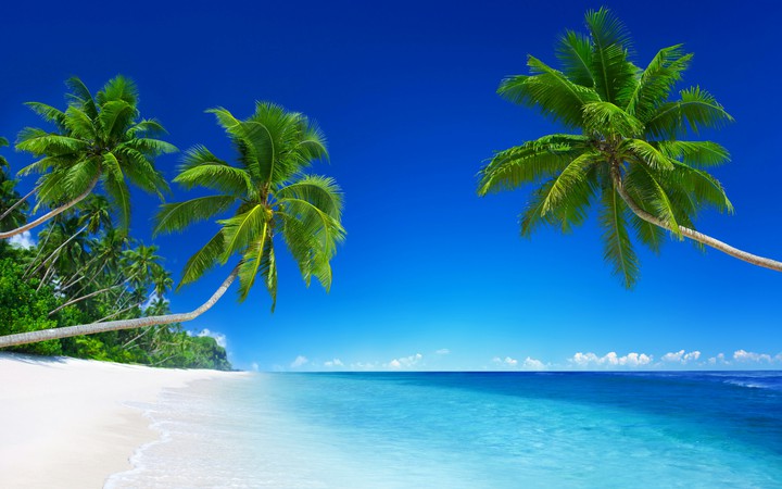 tropic