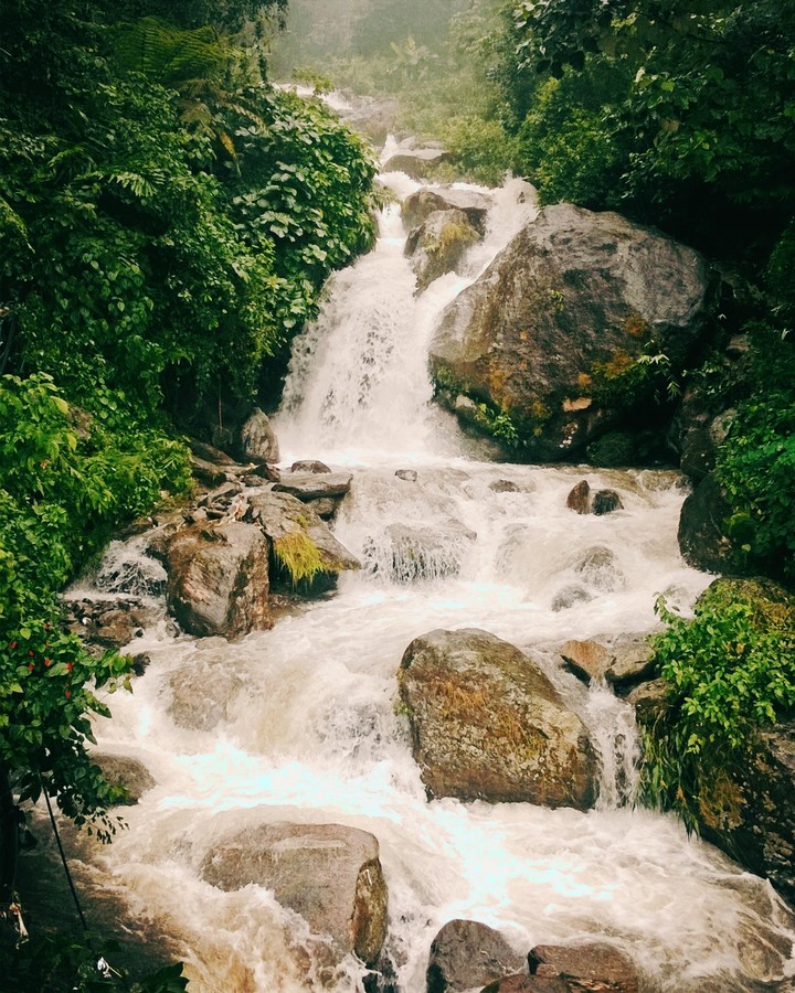waterfall. nature