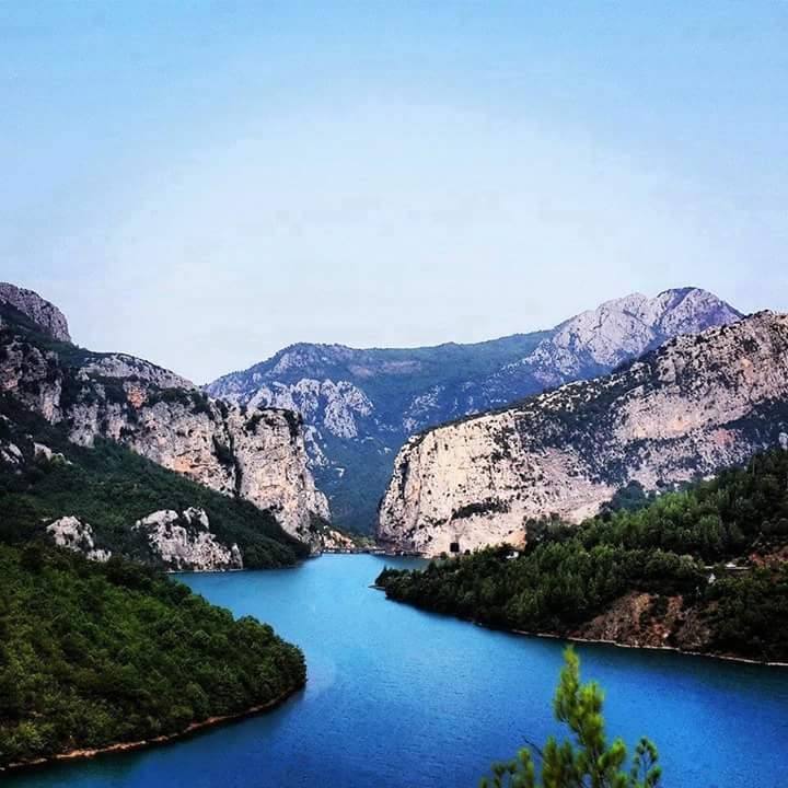 shkopet _ mat