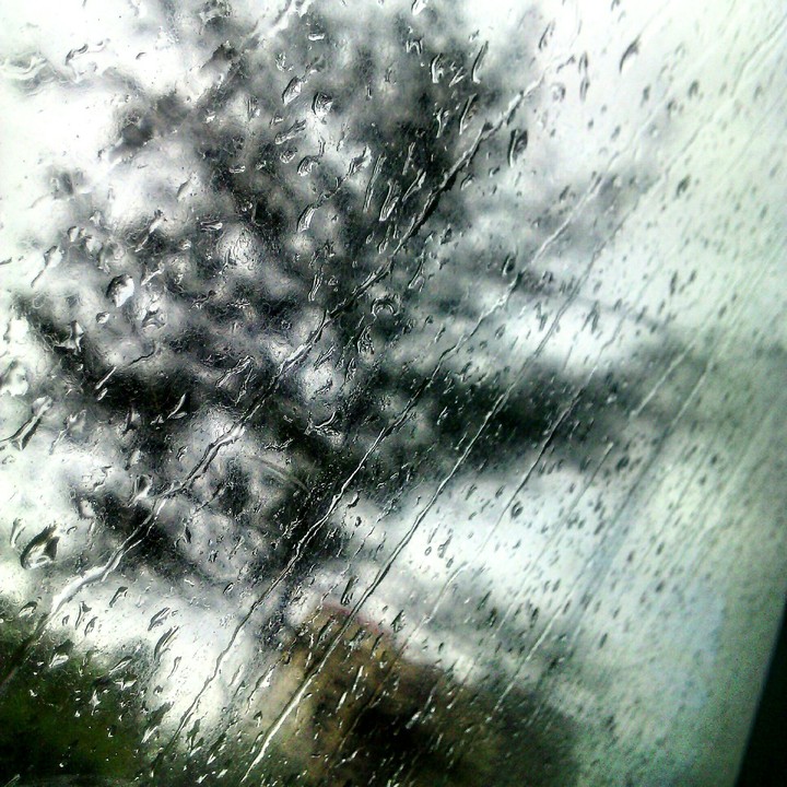 Window