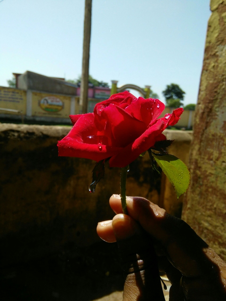 for you my heart ♥