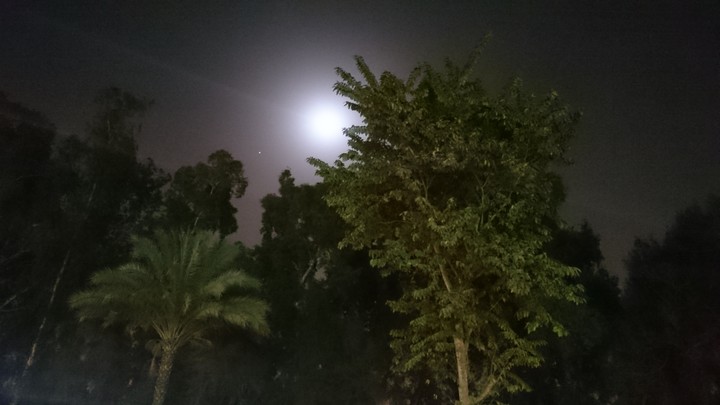 Moon