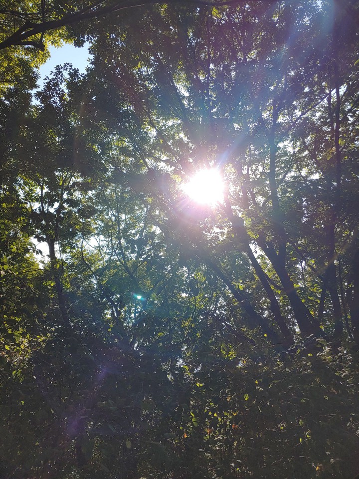 sun