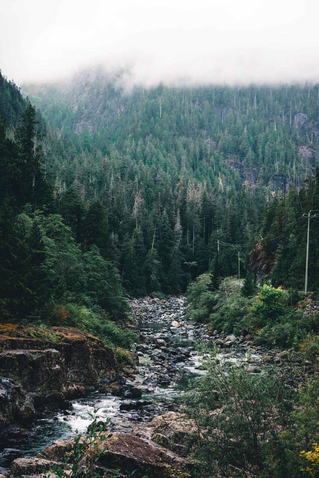 רקעים valley, forest