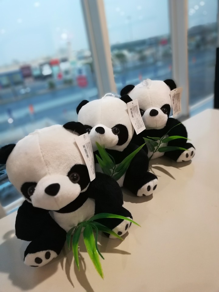 #friend   #mall #street  #ball #black&white #panda