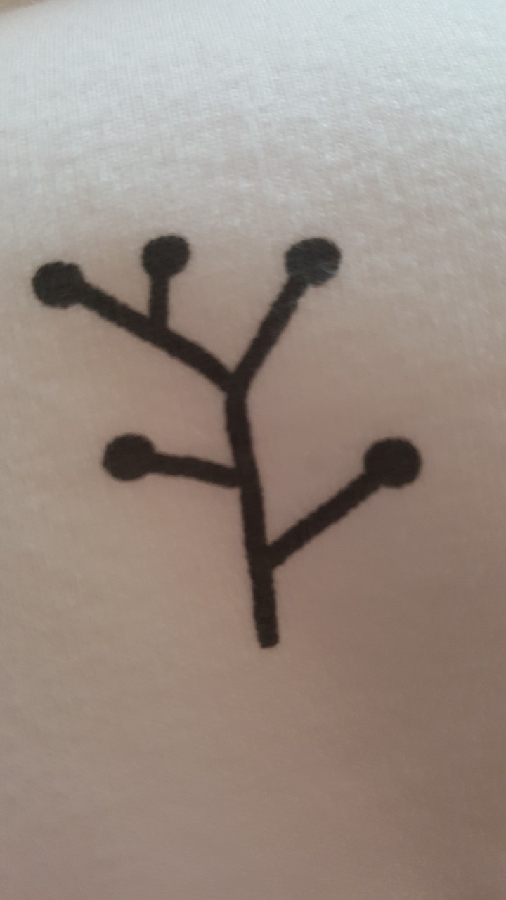 나무