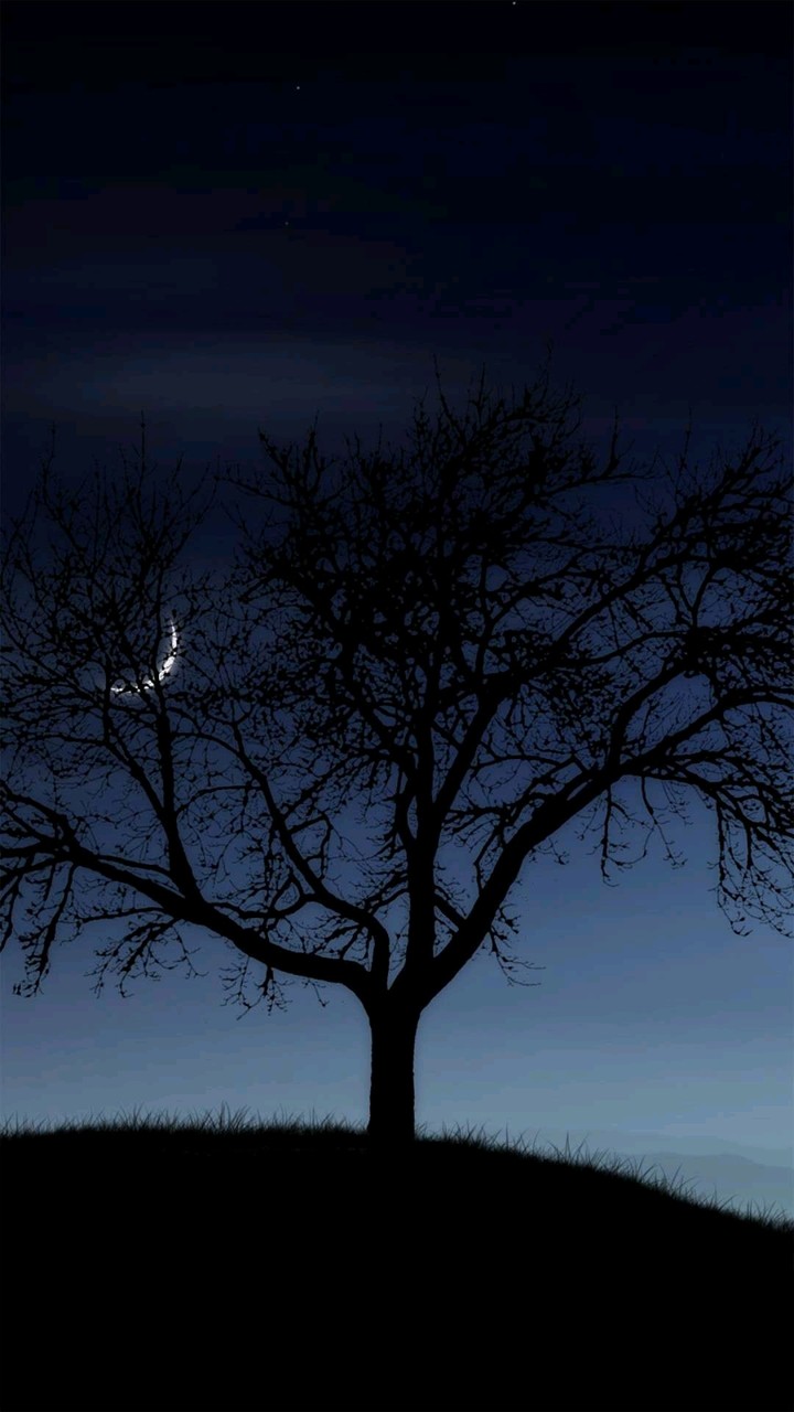 Dark night with moon
