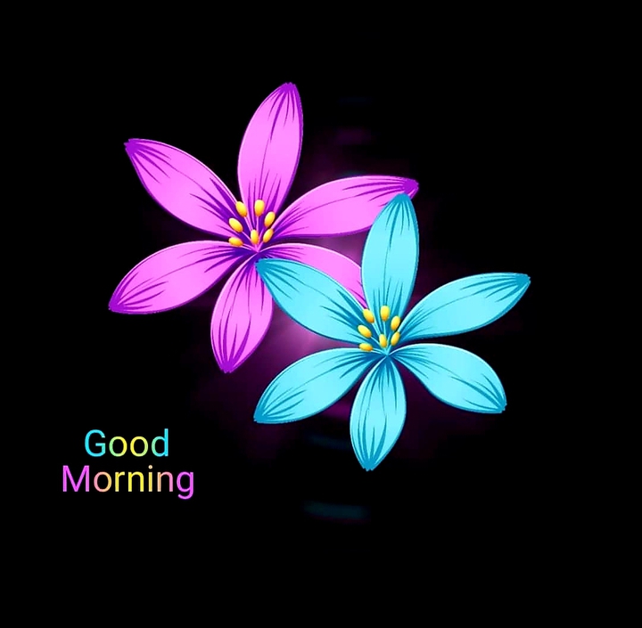 Good morning