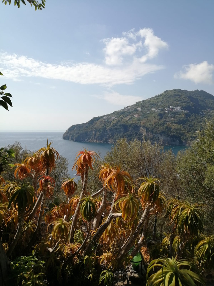 Ischia