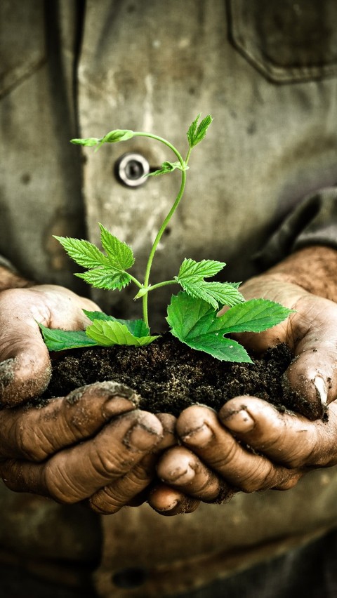 обои soil, agriculturist