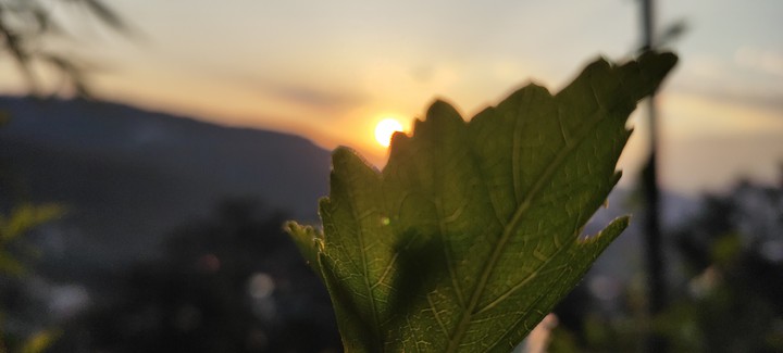 another sunset