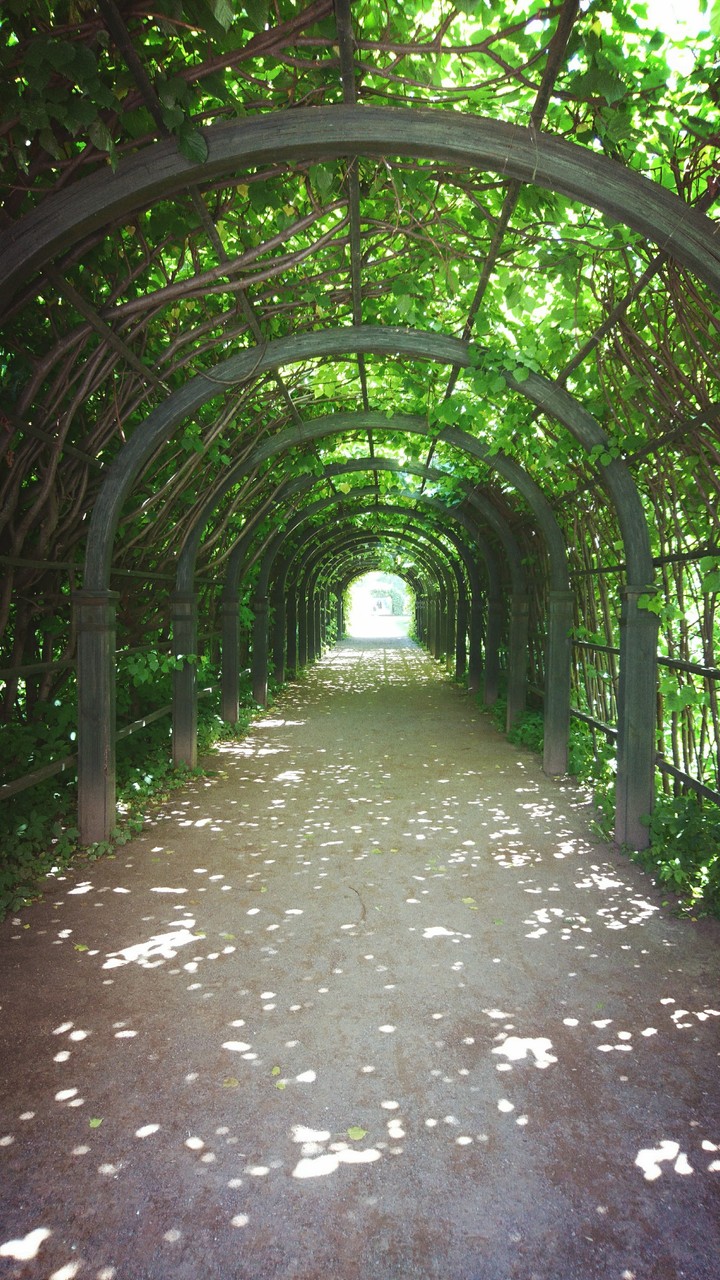 tunnel