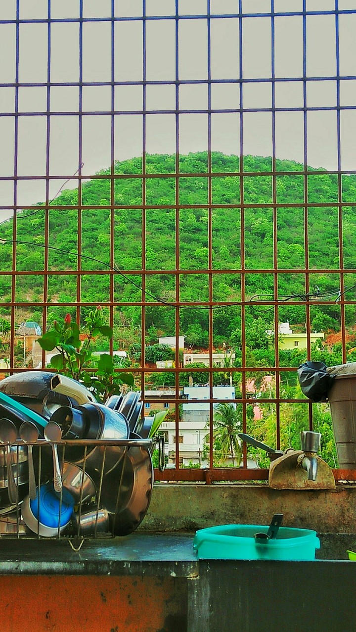 The Green