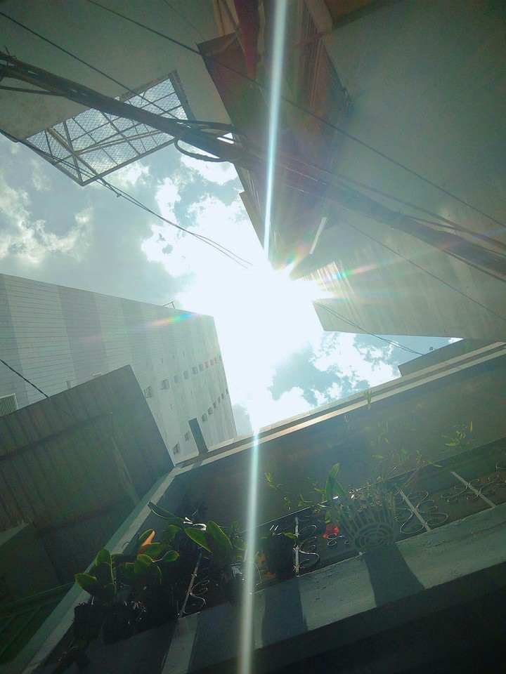 Sunshine