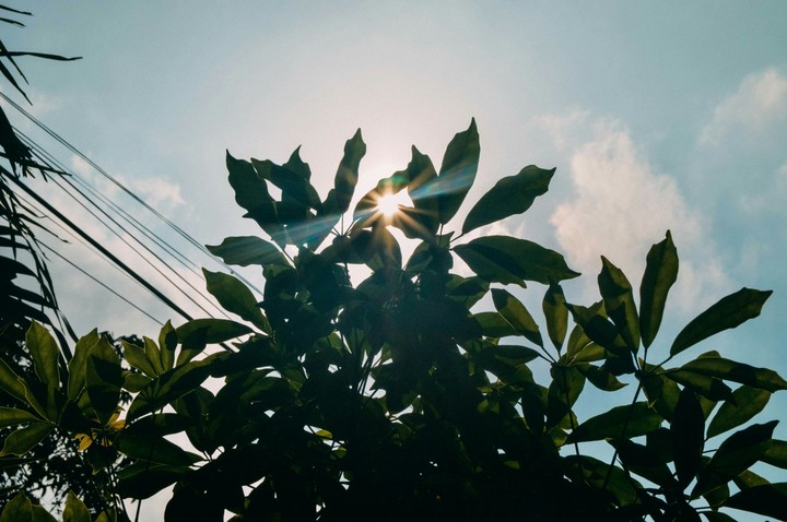 Sunshine