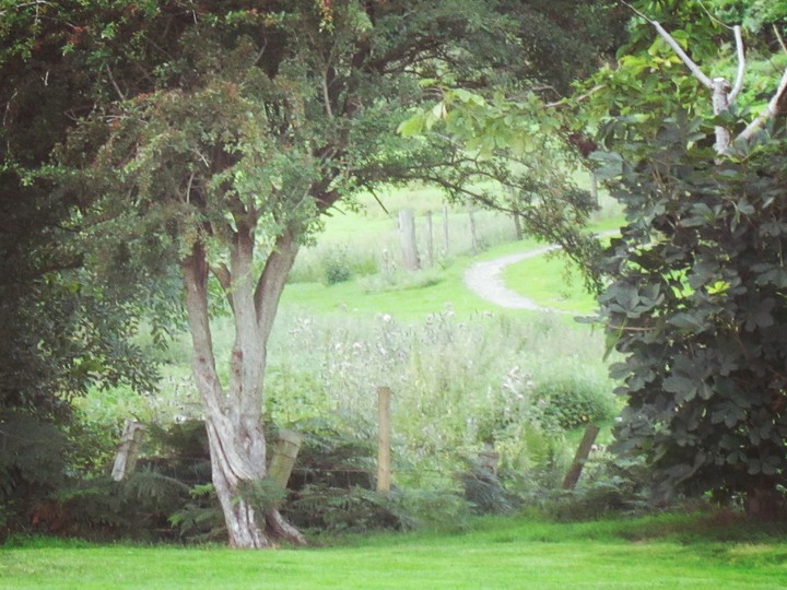 Door to Fairyland
