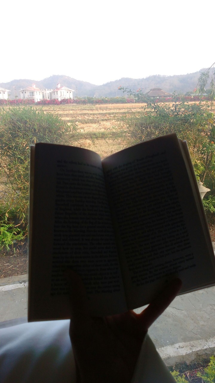 view from the window