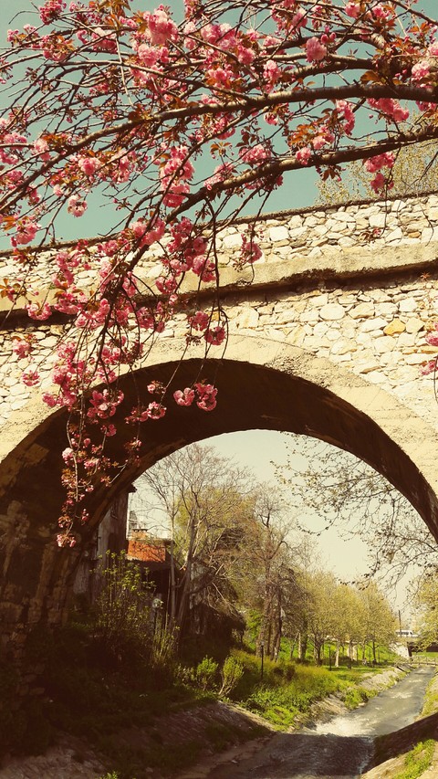 Köprü