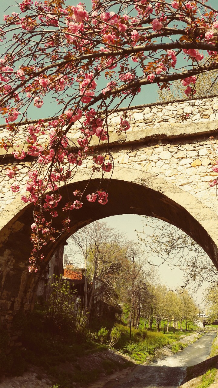 Köprü
