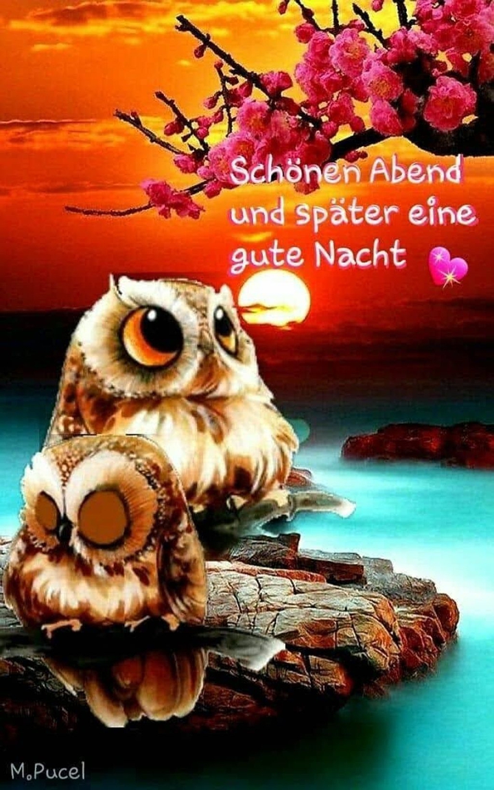 Schönen Abend