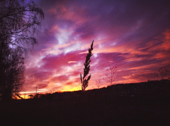 sunset
