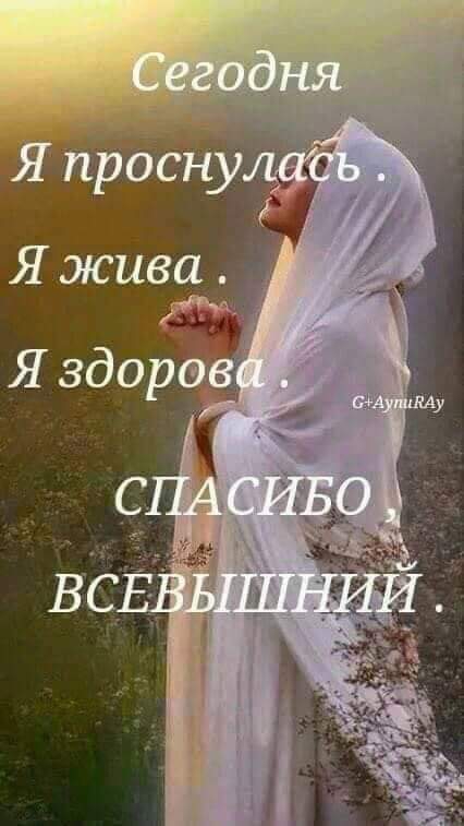 жизнь
