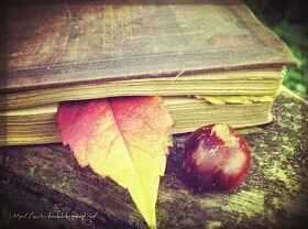 книга
