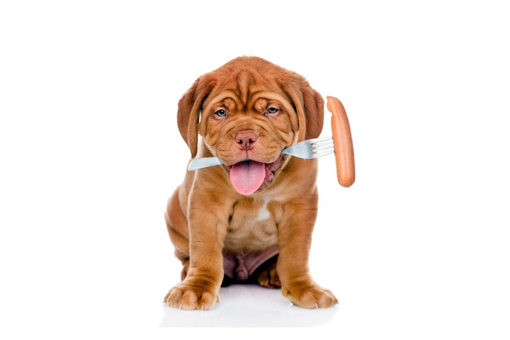 Dogue de Bordeaux