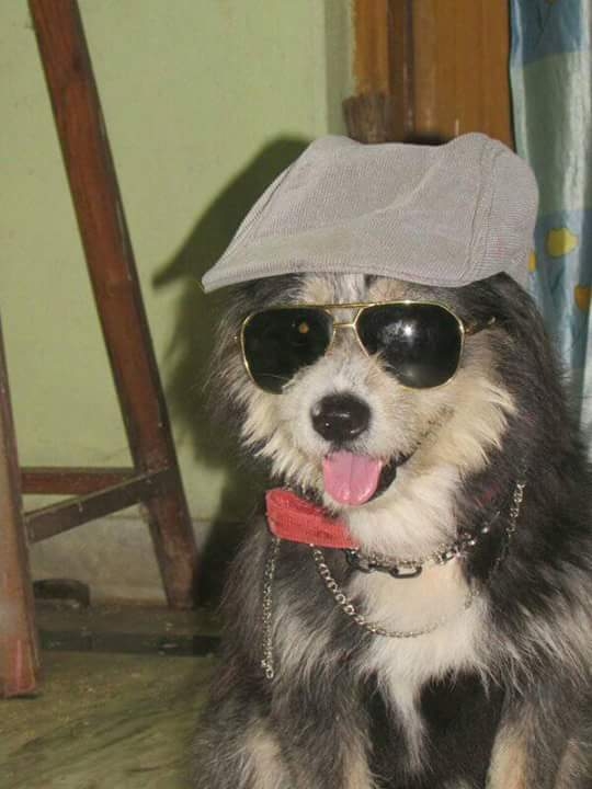 style