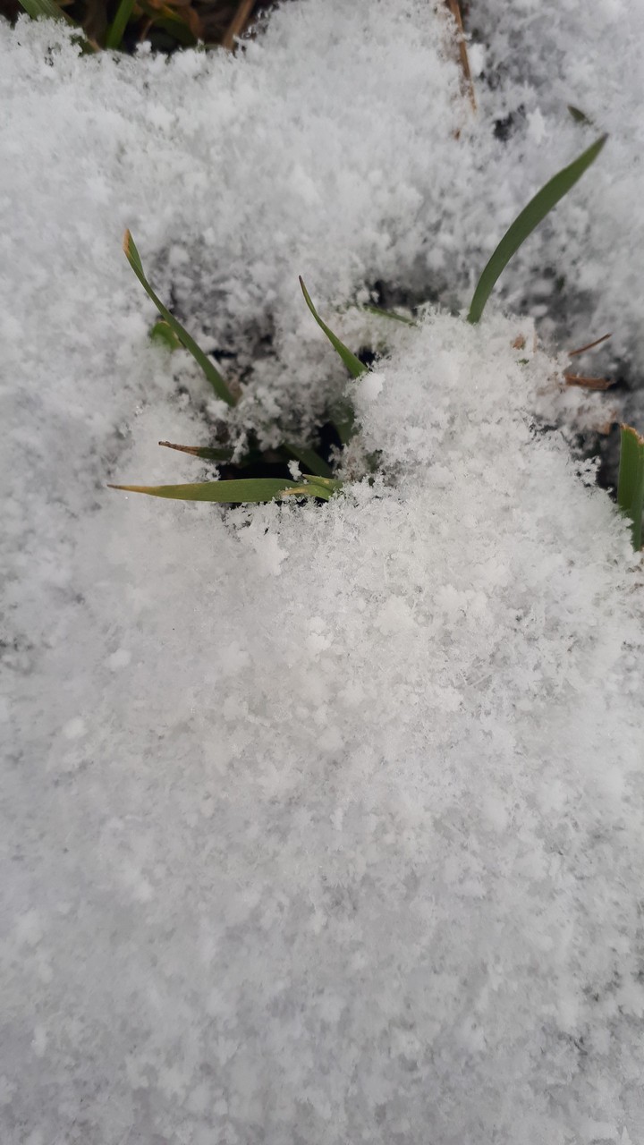 snow , #winter