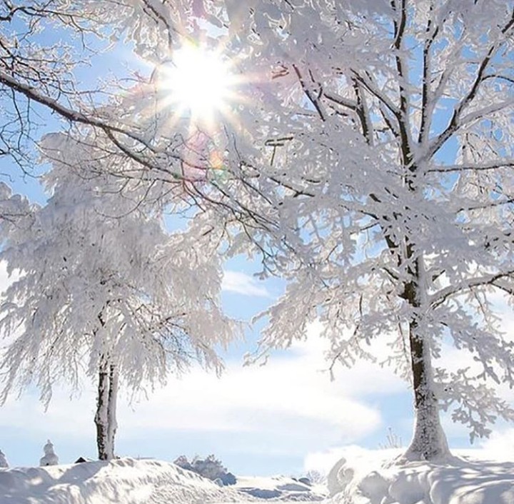 Winter.Snow