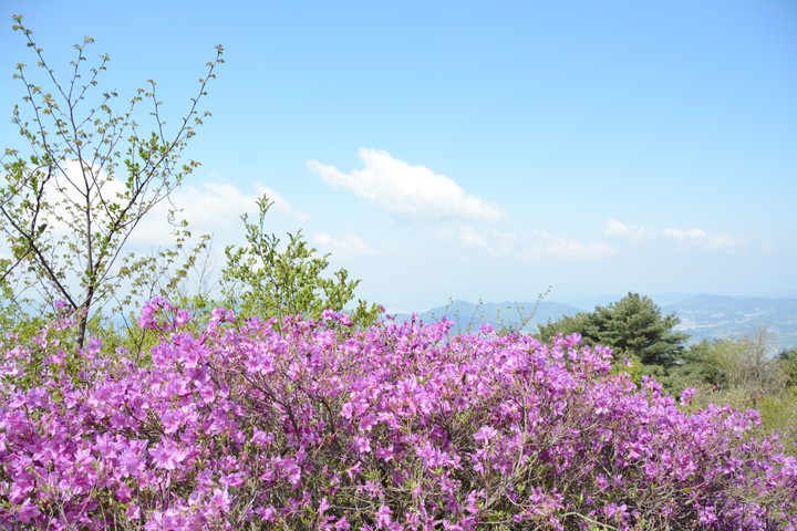 지리산이미지