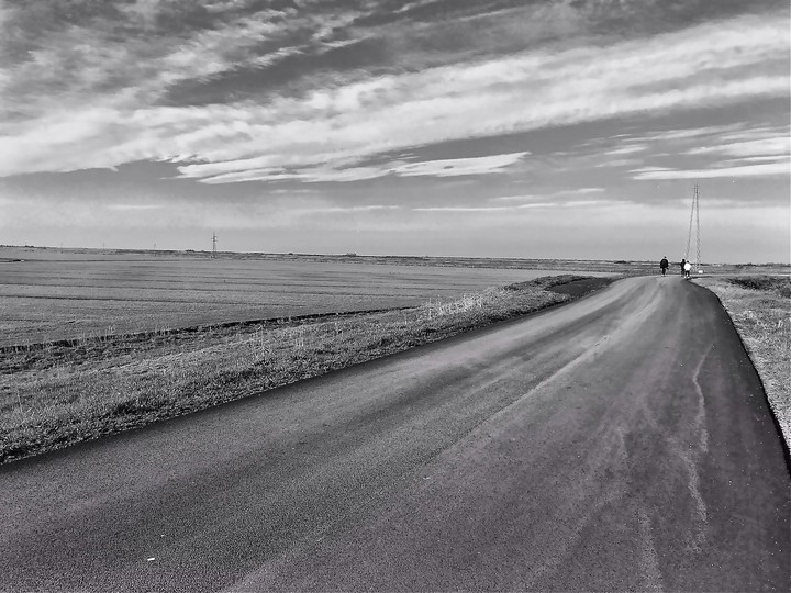 A long long Street
