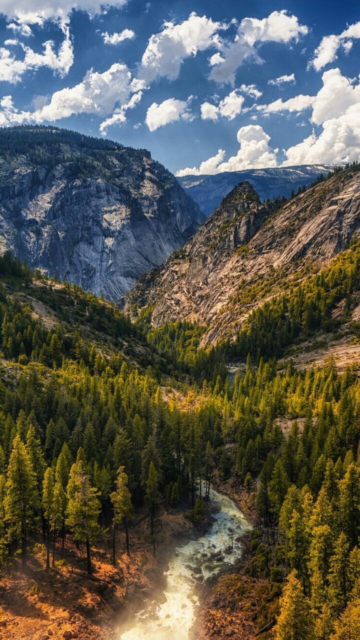 #nature