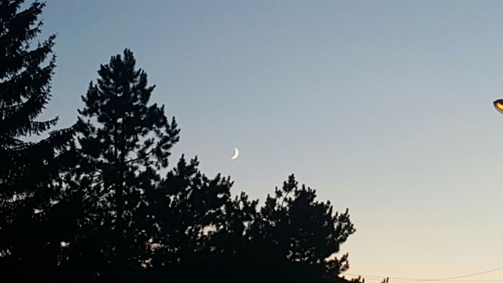 Moonlight