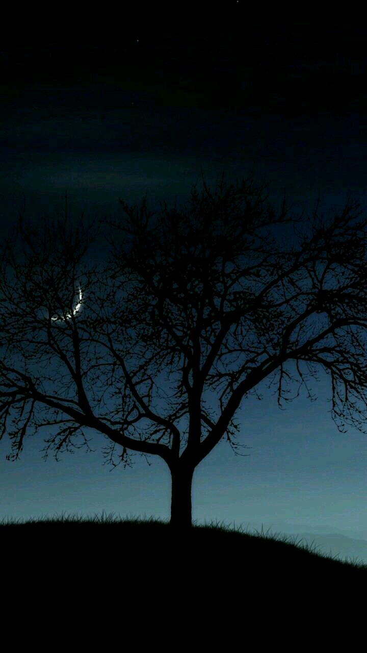 black shade