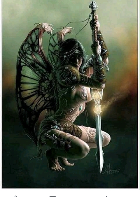 fairy warrior