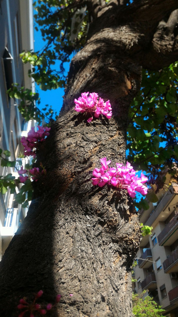 Photo taken by me!