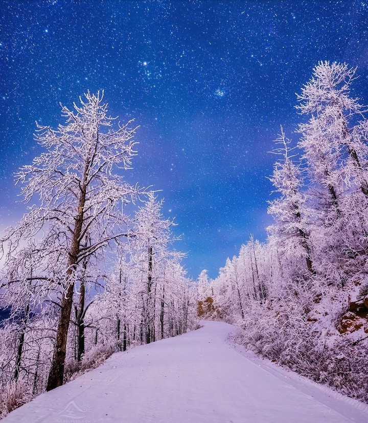 #winter