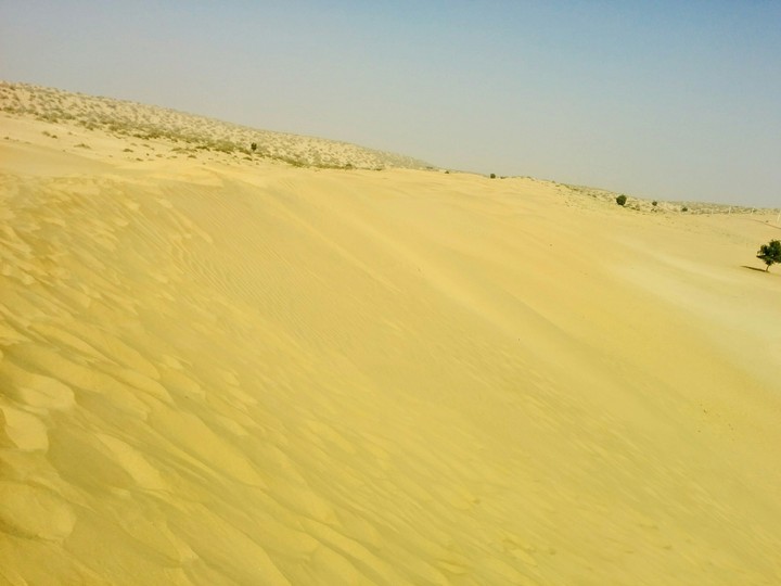 deep gold desert