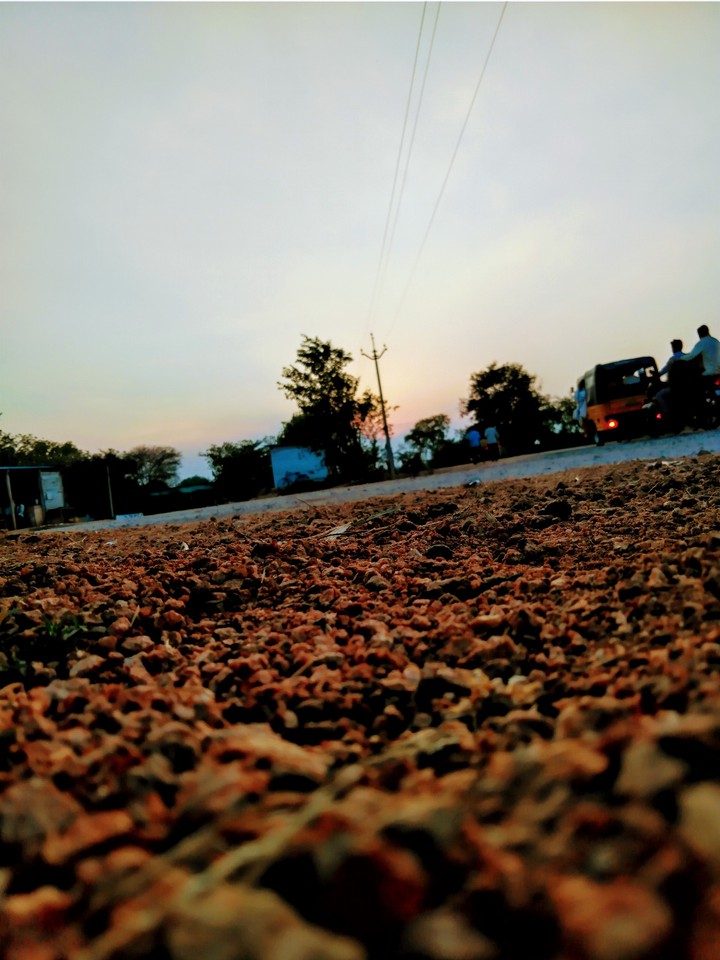 beauty of nature