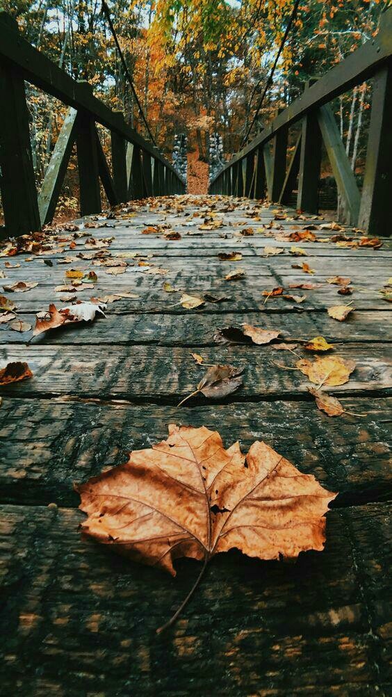Path